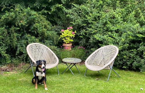 Saunahäuschen - Foto 6