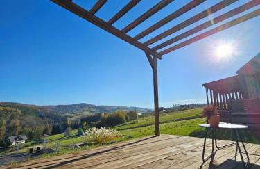 Stodoły w Bieszczadzie domy z basenem i widokiem na góry - Photo 77