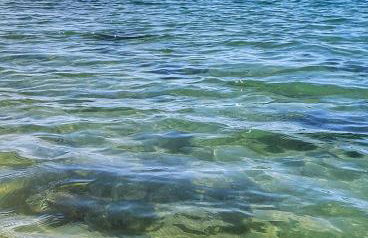 Sítio SPA Céu De Verdade , Praia de Barra Nova , Ceará - Foto 33