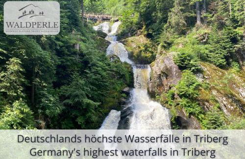 Exklusives 5-Sterne Apartment Waldperle mit Indoor-Pool, Sauna, top Lage und Ausblick in die Natur, Hunde willkommen - Foto 22