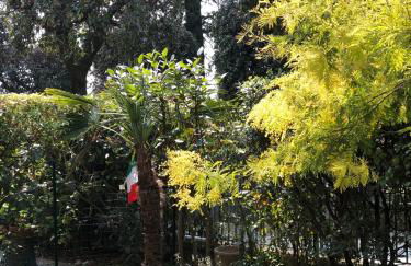 Casa Mimosa - Photo 19