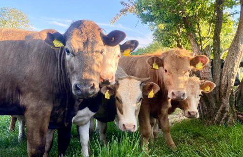 Mill Farm Retreat - Foto 12