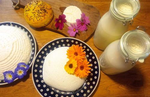 Agroturystyka Jak Makiem Zasiał Dworki 10 - Foto 61