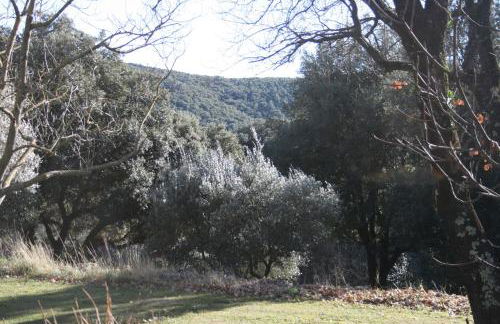 La Figalie - Foto 26