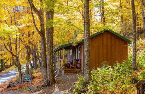 Cabin in the woods w/ WIFI close to Monongahela National Forest - Foto 7