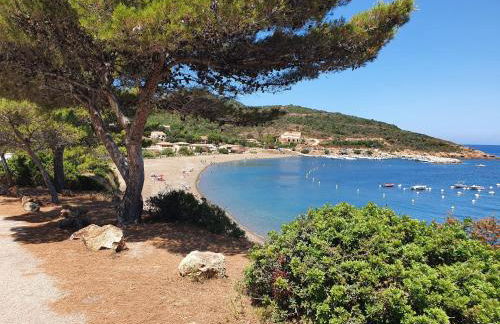 Villa les palmiers -Stretta di i mandarini - Foto 34