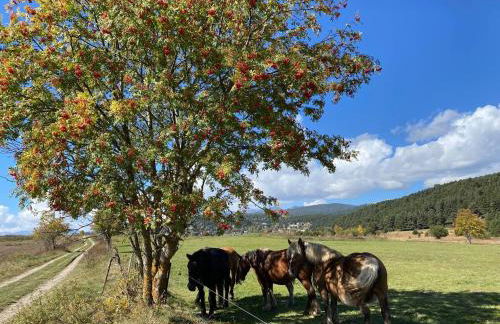 Chalet de montaña - Foto 17