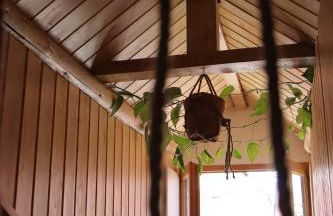 Studio AUREA - Foto 5