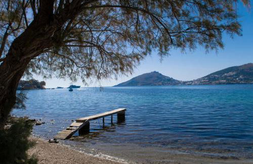 Polixeni's House - Foto 5