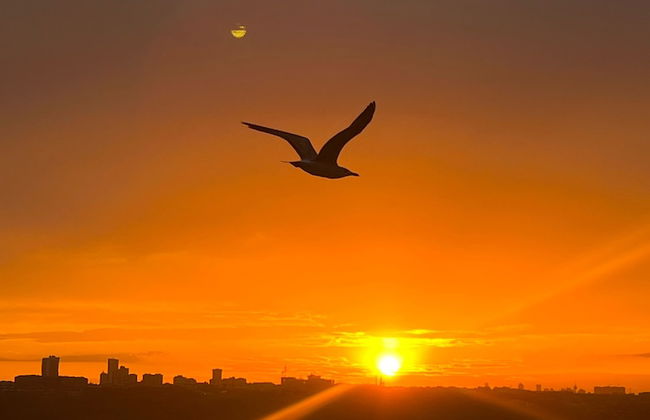 Perfect Lake view Entire Apartment - Photo 11