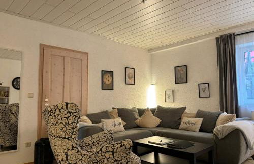 Rheinauszeit - Foto 17