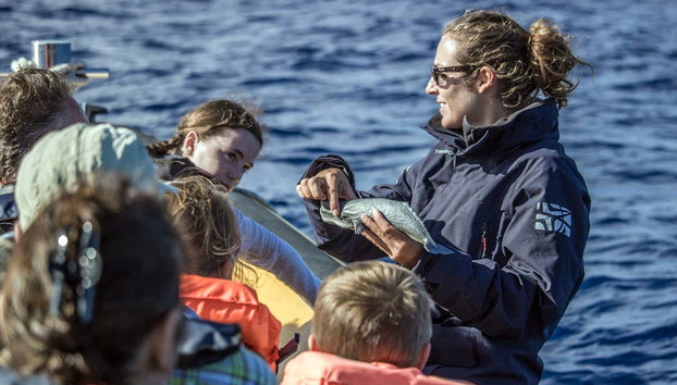 Observation de cétacés + Îlot de Vila Franca - Photo 5