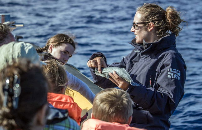 Avistamento de cetáceos + Ilhéu de Vila Franca - Foto 8
