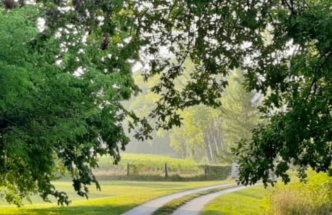 Agriturismo La Sorgente - Foto 11