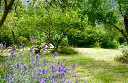 Country House With Big Garden - Photo 46