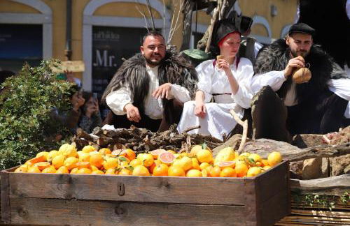 Open Suite Cobalto - Foto 64