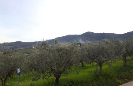 Casa Leonardo - Foto 24