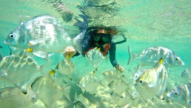 Kayak and Snorkel Dolphin-Watching Tour - Photo 5