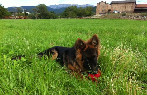 Paller Cal Melsio - Foto 26