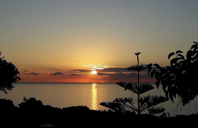 Villa Nina - Foto 52