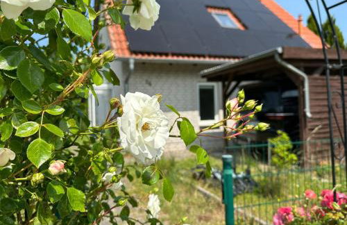 Haus am Bergsee - Photo 21