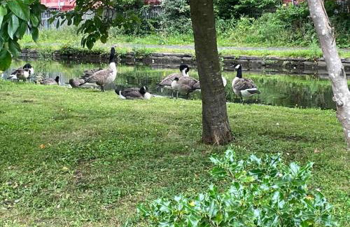 Cityfront Cosy Apt Near City Centre & Etihad Stadium, Free Parking - Foto 18