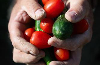 Thalasses Villas Rethymno - Photo 32