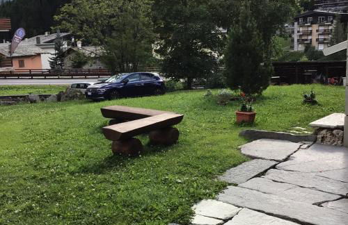 Anemone rosso - Foto 6