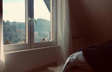 Cerla Korbielów - Domek dla Dwojga - Foto 62