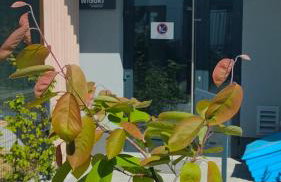 Widokowy Apartament z garażem w Rumi - blisko Gdynia - Foto 19