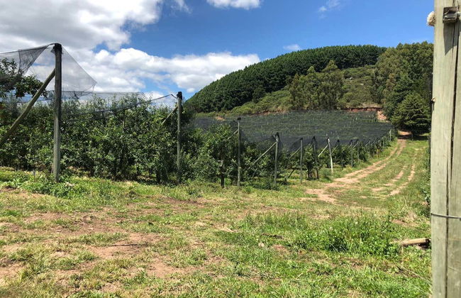 São Joaquim Apple Tour - Photo 6