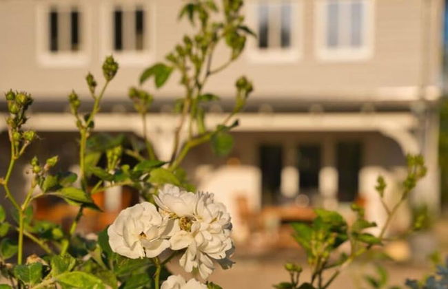 Fordebrise Modern Retreat - Photo 36