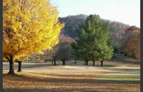 ShortLong Stays Welcome! Hot tub, Dog Friendly! - Foto 47