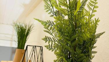 Ferienwohnung Südtor 2 - Foto 3