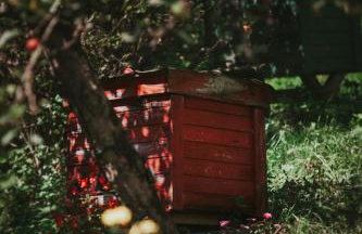 Pasieka - Dom Wypoczynkowy - Foto 30