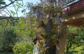 Rifugio Valentina - Foto 7