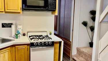 Sun & Snow Chalet Breckenridge, a dog lovers dream! - Foto 5