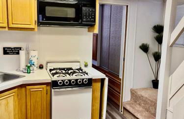 Sun & Snow Chalet Breckenridge, a dog lovers dream! - Foto 5