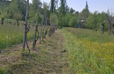 B&B dei Forestieri - Foto 32