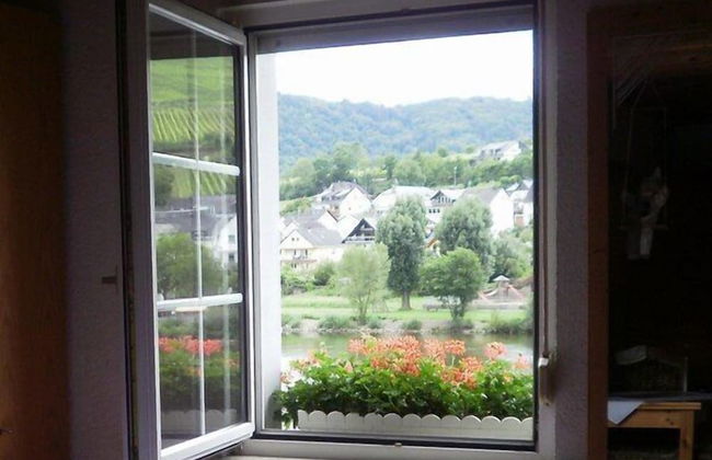 Mosel Panorama - Foto 24