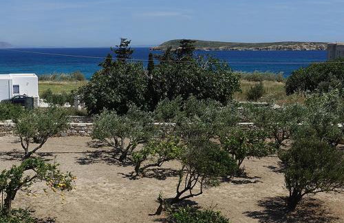 Flora Apartments - Photo 32