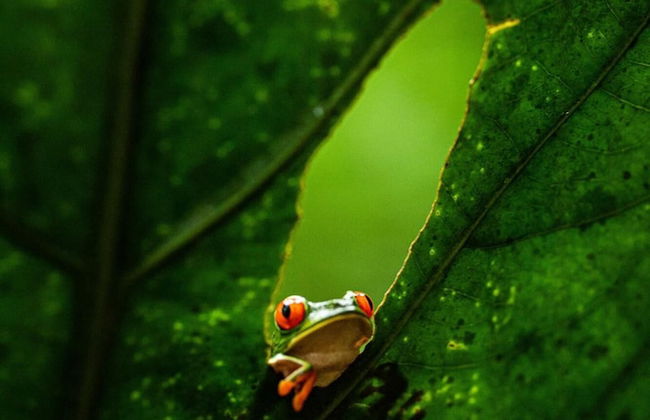 Casa Hacienda Jaguar - Foto 57