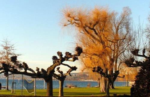 Ferienwohnung Haus Michel, 90 Qm - Foto 32