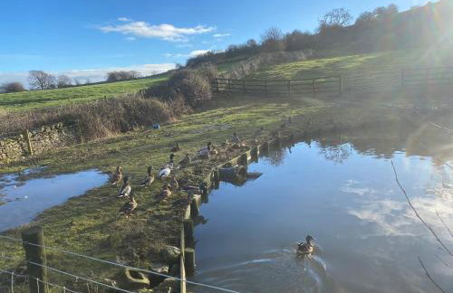 The Annexe - Photo 14