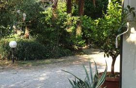 VillaLuigia - Oasi le Palme - Photo 70