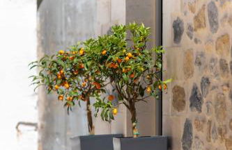 Marilena Natural Stone House, By Hellocrete - Foto 31