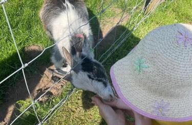 POPPY LUXURY LODGE Sleeps 8 at Fairview Farm, Ravenshead, Nottingham Near Sherwood Forest, Dog Friendly, Farm Stay great for wedding groups, families, Hen Do's, friends gatherings with amazing views - Foto 80