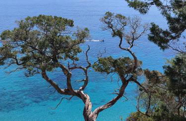 Cuile Casari - Foto 42