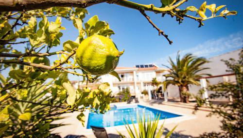 Casa do Pocinho - Foto 5