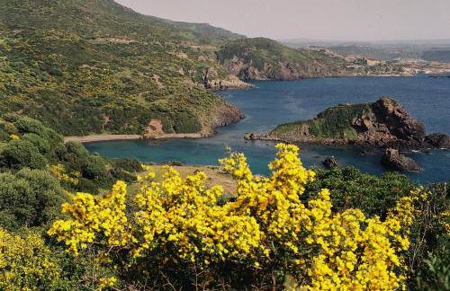 Casa vacanze Sandalia - Foto 17